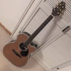 2025年最新】エレアコ greg bennettの人気アイテム - メルカリ