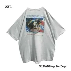 GILDANHogs For DogsTシャツゴールデンレトリバー犬プリント古着
