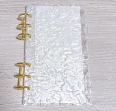 Item thumbnail for item 7bc4f075-0681-4fe5-8a14-2b085a88a2aa