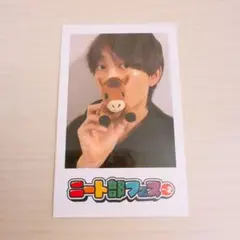 ウマヅラハギ　チェキ