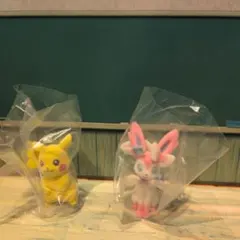 ポケモン フロッキードール ピカチュウ ニンフィア