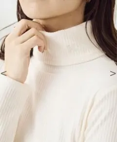 刺しゅう入りハイネックインナー NICE CLAUP タートルネック インナー