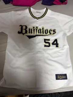 Item thumbnail for item c73336f2-0d6a-4a16-a454-5e190ecbb792