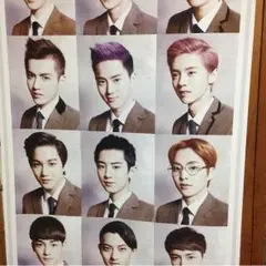 exo タペストリー