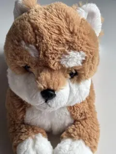 〈サンレモン〉ひざわんこ 柴犬 生産終了品　BE ぬいぐるみ［S］