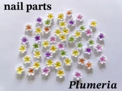 ネイルパーツ プルメリア MIX デコ ネイル 約5g入のサムネイル