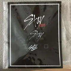 Stray Kids CABLE ACCESSORY