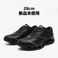 MIZUNO WAVE PROPHECY LS GTX 28.0cmのサムネイル
