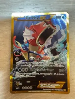 ギャラドスEX SR XY BREAK 拡張パック 破天の怒り キラ 081/… - メルカリ