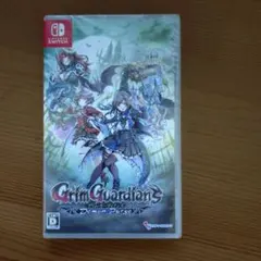 Grim Guardians : Demon Purge 通常版 Switch版
