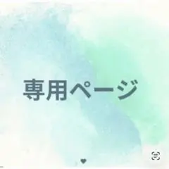 ヒロ様 リクエスト 2点 まとめ商品