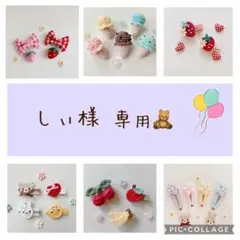 しぃ様 専用