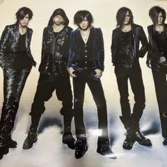 the GazettE ポスター　エターナル　カルテチアノーゼ　REITA the GazettE ポスター エターナル 前盤 REITA RUKI - メルカリ