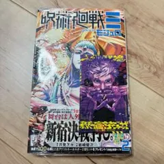 ★新品未開封★ 呪術廻戦≡ モジュロ 2巻 特典付き ミニイラストカード 五条悟