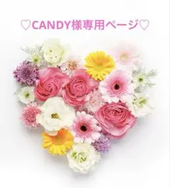 ♡CANDY様専用ページ♡