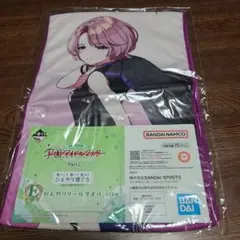 一番くじ ラブライブ！虹ヶ咲学園 優木せつ菜 マイクロファイバーバス