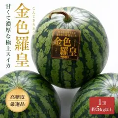 熊本県産 金色羅皇 スイカ 2玉セット - メルカリ