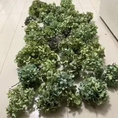 紫陽花32、32二つぽこぽこ様専用