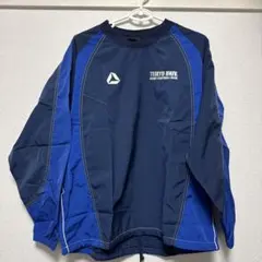 Item thumbnail for item 4c5fef28-a95d-4878-b892-cb7332b9a431