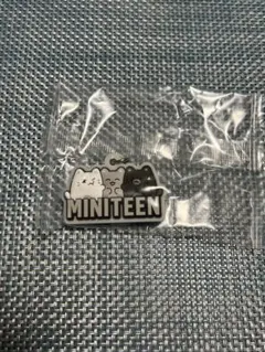 ミニティーンガチャ　seventeen miniteen