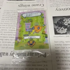 【たまごっち】プチプチおみせっちしり〜ず カード&フレーム めめっち