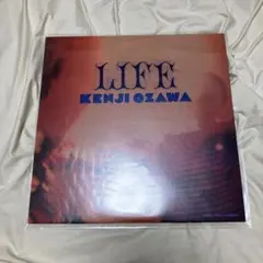 2025年最新】小沢健二 ライフの人気アイテム - メルカリ