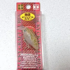 Item thumbnail for item d2b4375c-424a-42f6-ae11-0e90780b1c92