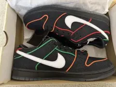 Bronx Girls Skate × Nike SB Dunk Low Pro