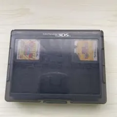 Nintendo 3DS ゲーム　2点　カードケース付き