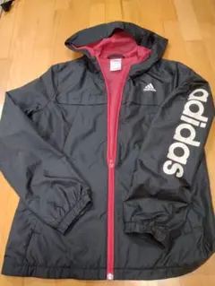 レディース ブルゾン