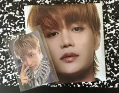 FACT CHECK テイル トレカ Exhibit chandelier