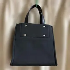 ear PAPILLONNER トートバッグ ミニバッグ