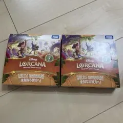 ディズニーロルカナ 未知なる彼方へ シュリンク付 2BOX - メルカリ