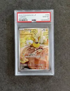 ワンパチ PSA10 AR - メルカリ