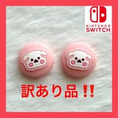 【訳あり品】 ジョイコン スティックカバー 2個セット 新品 送料無料