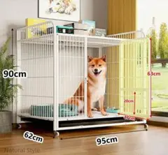 Item thumbnail for item 5124efe0-a4aa-4c02-a6fa-eb1895d53623