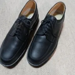 Item thumbnail for item 616726fc-5ade-408d-8f1a-601b4e3ca13a