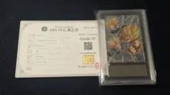 ARS10 FB05-031 孫悟空 パラレル 【鑑定書付】 | Mercari