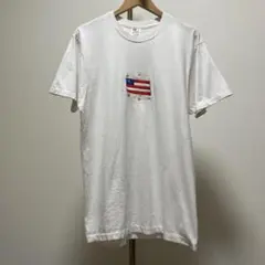 90s シングルステッチ Hanes 国旗 刺繍Tシャツ L
