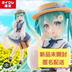 【タイクレ限定】初音ミク Fashionフィギュア Country
