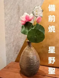 비젠 웨어 호시노 세이하나리