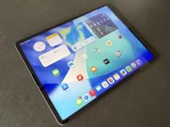 iPad Pro 12.9 第5世代 256GB Wi-Fi M1 動作品