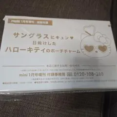 mini 1月号増刊 付録 ハローキティ サングラス ポーチャーム