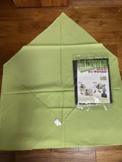 Item thumbnail for item 2e675e8a-b8fe-4c29-9fd8-9788d0d5e579