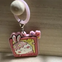 치이카와 우사기 메지루시 아크릴 매력