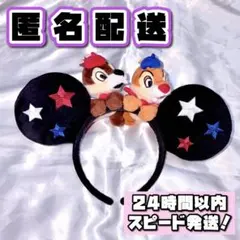 ディズニー チップとデール チデ カチューシャ パリ 海外ディズニー 日本未発売