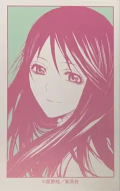 D.Gray-man TCG リナリー・リー SP03068-R ② - メルカリ