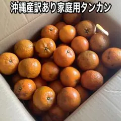沖縄県産 訳あり家庭用タンカン(10kg)