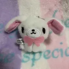 シュガーバニーズ しろうさ