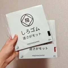 卓球　ラバー　2枚　省チーム　テンション　 特注　裏　ソフト　セット